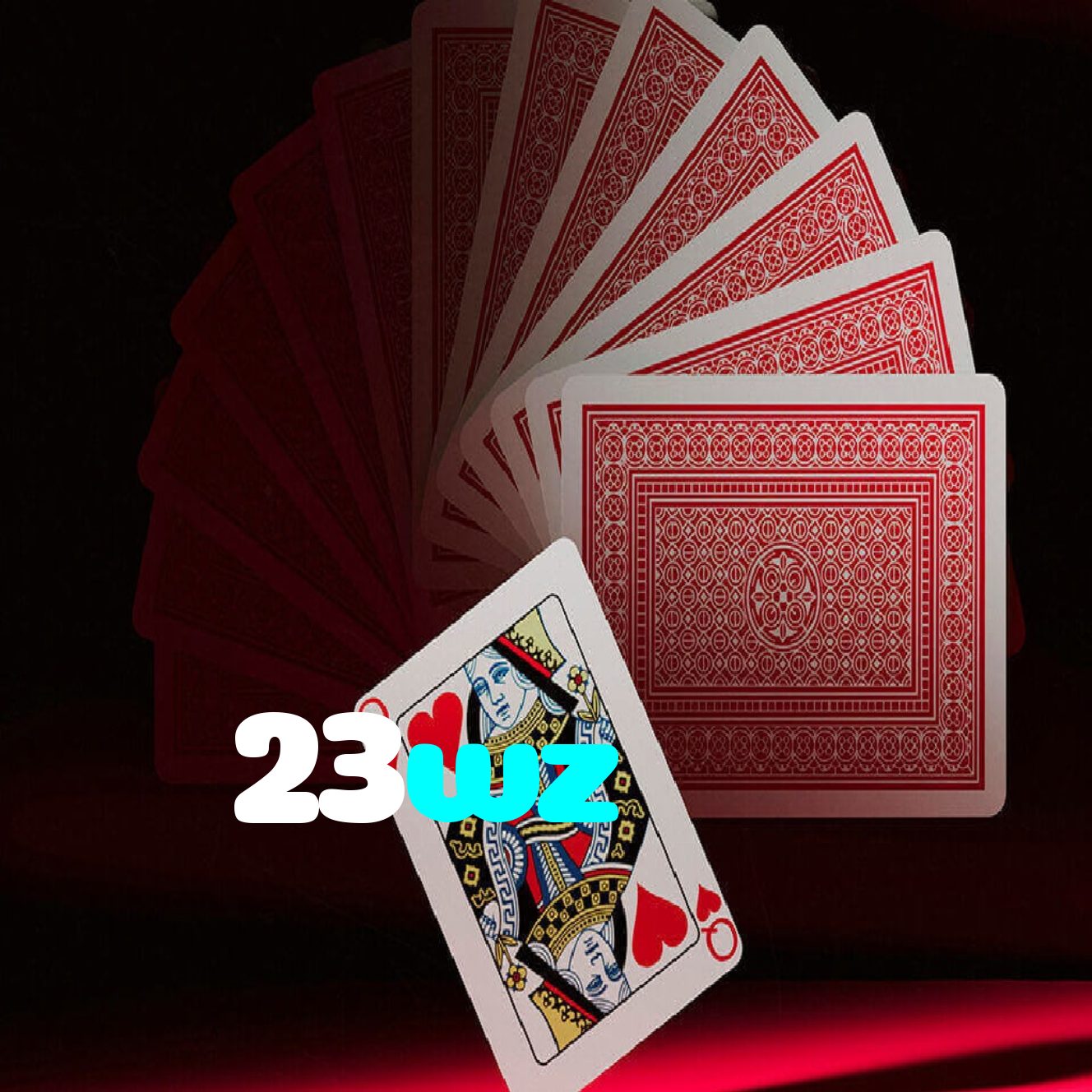23wz