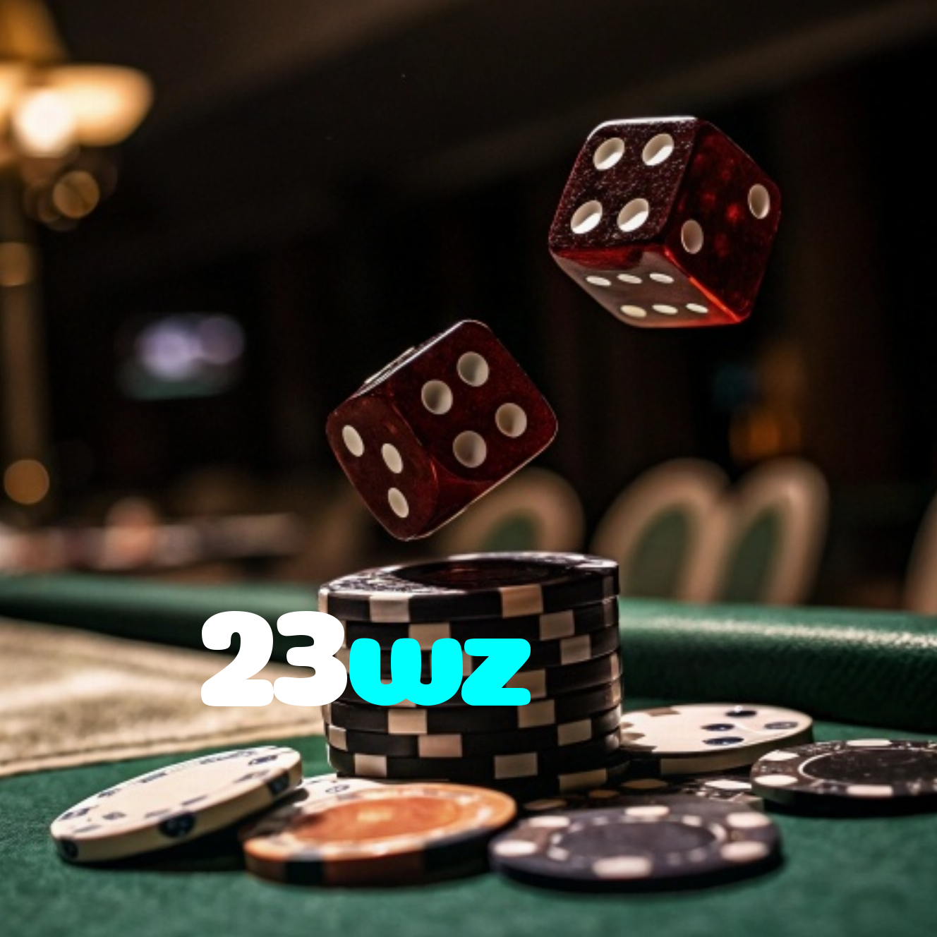 23wz