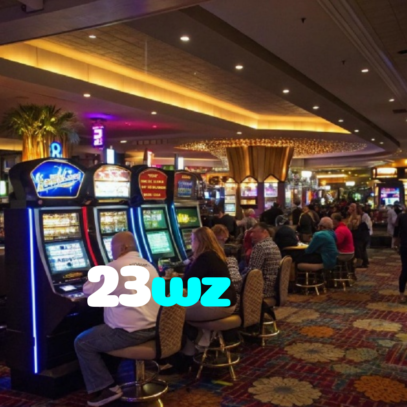 23wz